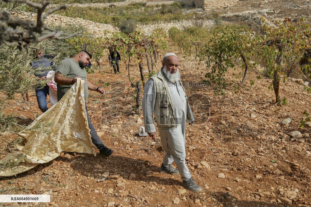 Palestinians Protest Against Israeli Settlers Near Hebron - Palestine