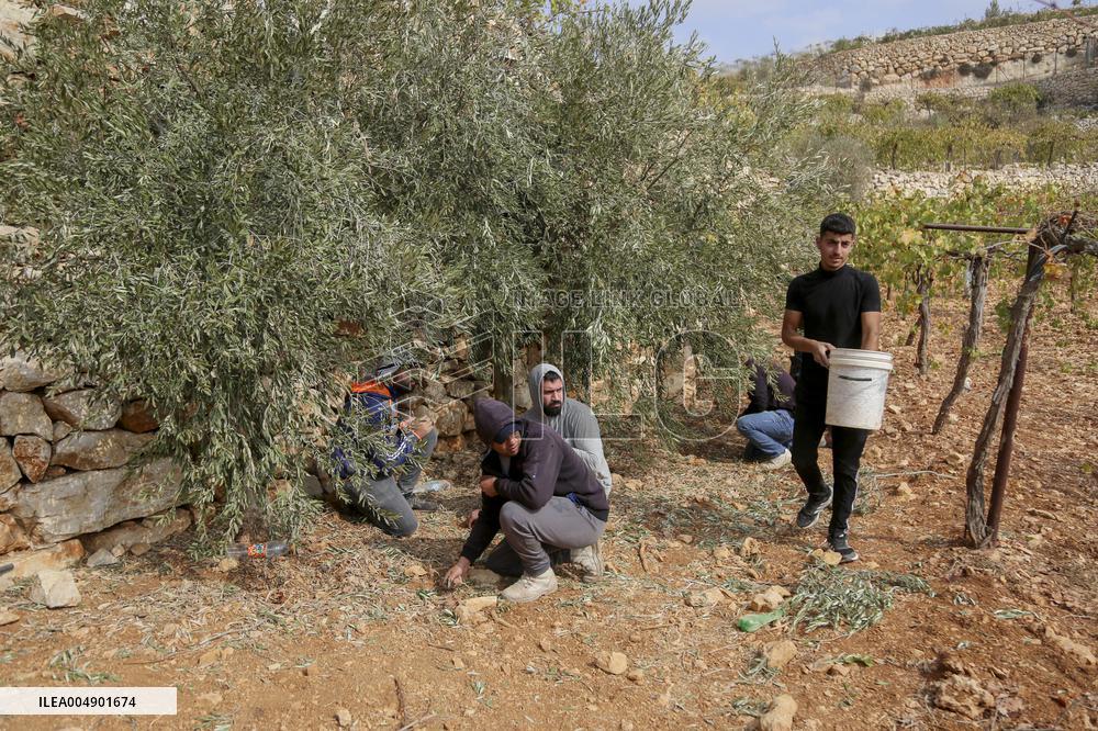 Palestinians Protest Against Israeli Settlers Near Hebron - Palestine