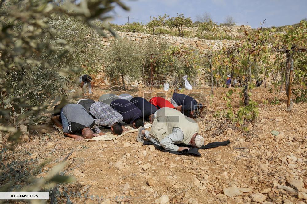 Palestinians Protest Against Israeli Settlers Near Hebron - Palestine