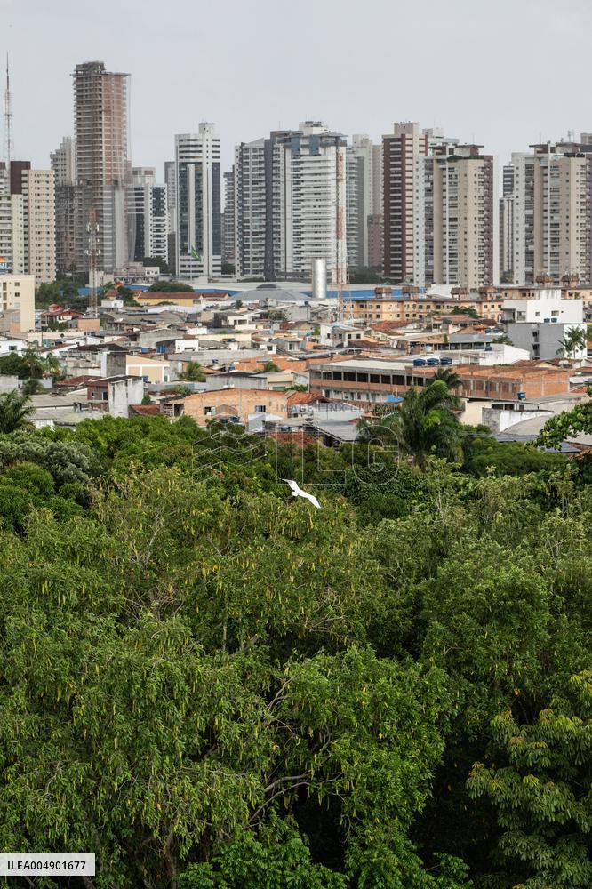 Illustration - Ecology in Belem - Brazil