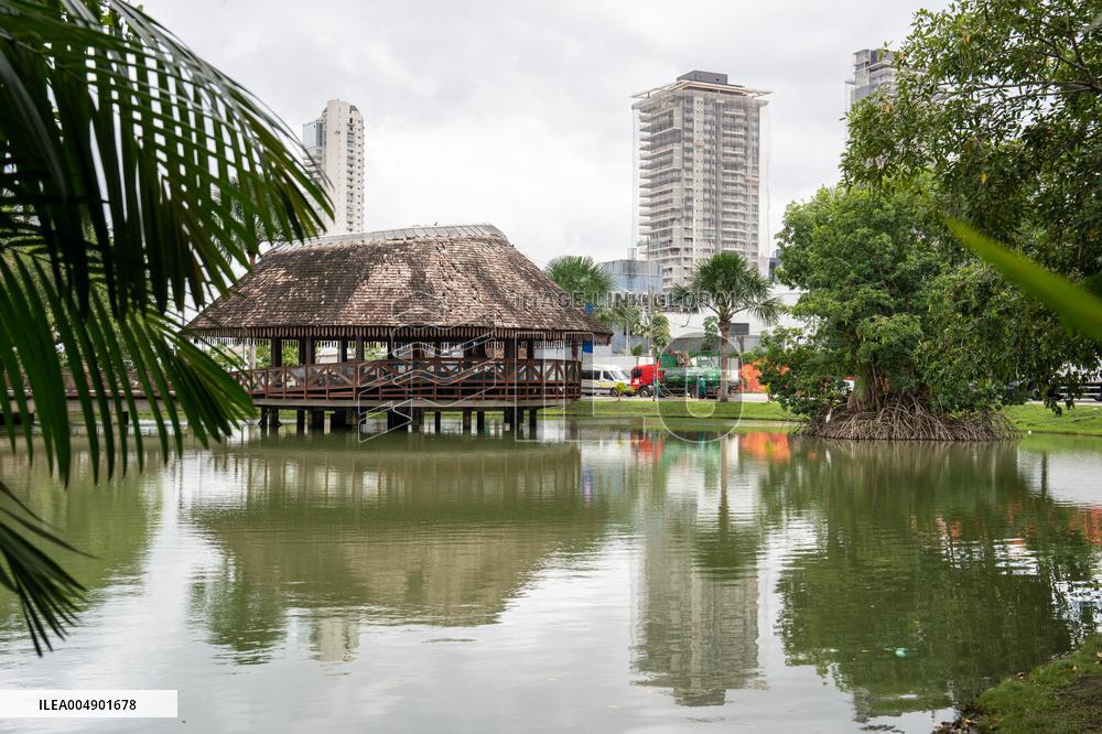 Illustration - Ecology in Belem - Brazil