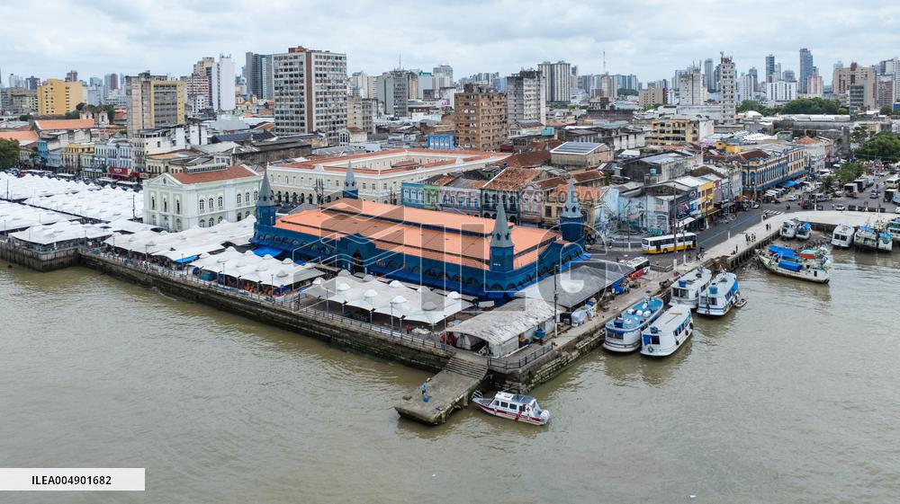 Illustration - Ecology in Belem - Brazil