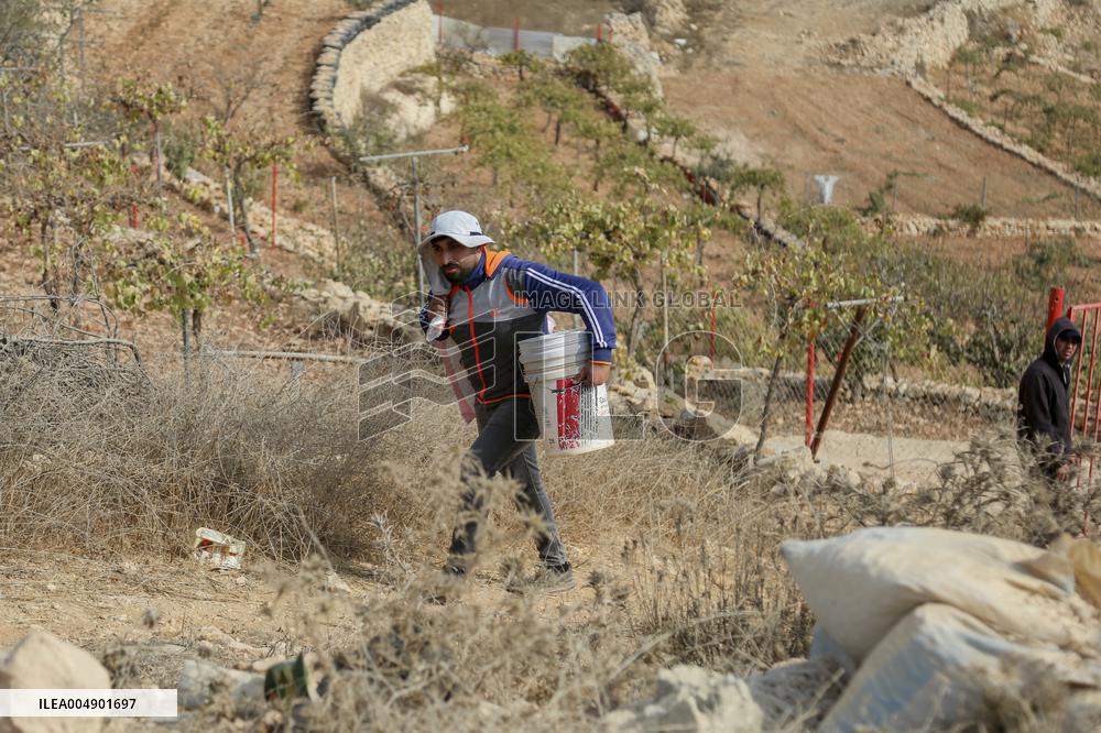 Palestinians Protest Against Israeli Settlers Near Hebron - Palestine