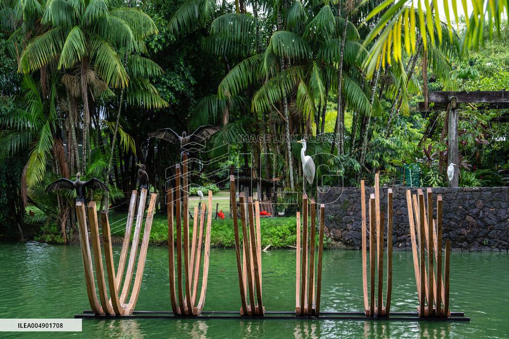 Illustration - Ecology in Belem - Brazil