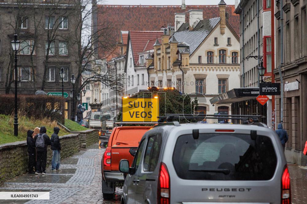 Tallinn's Christmas tree