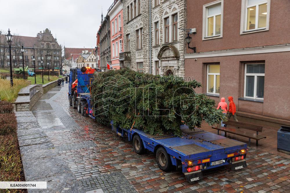 Tallinn's Christmas tree