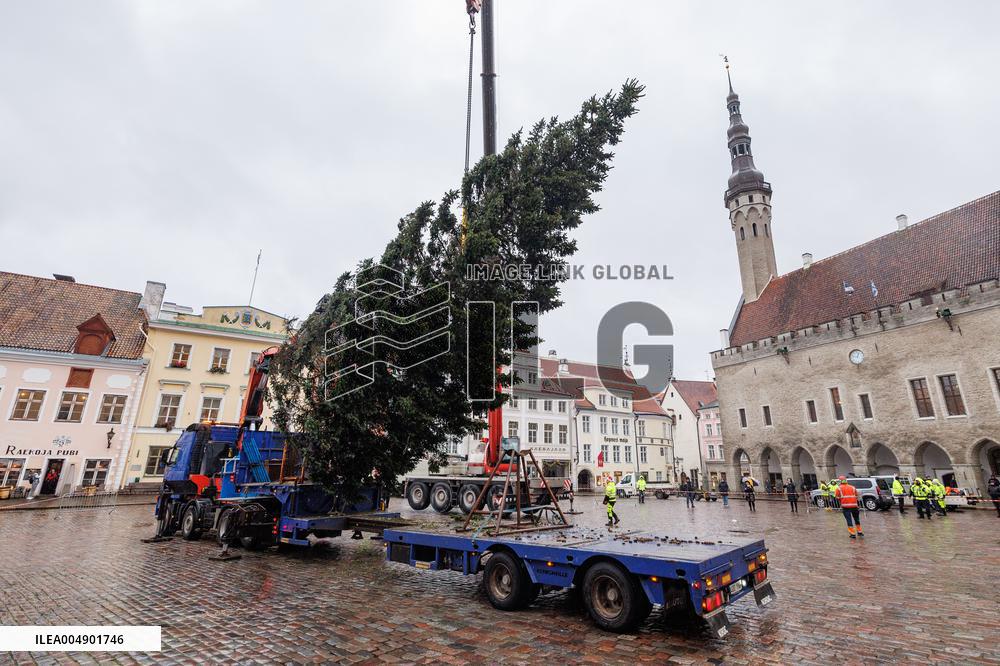Tallinn's Christmas tree