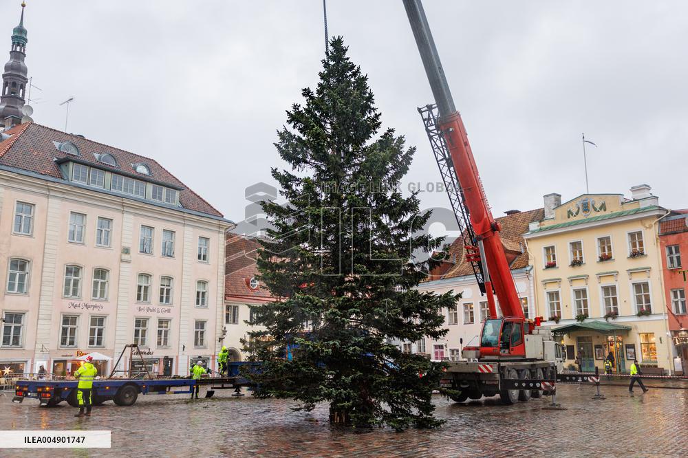 Tallinn's Christmas tree