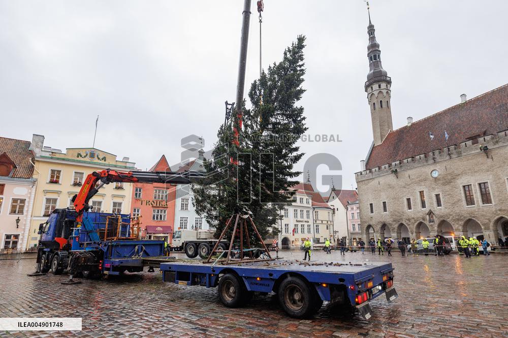 Tallinn's Christmas tree