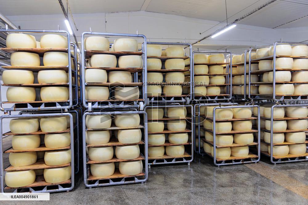 Valio Eesti's new cheese warehouse