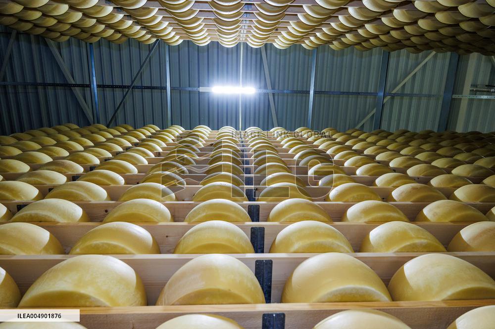 Valio Eesti's new cheese warehouse