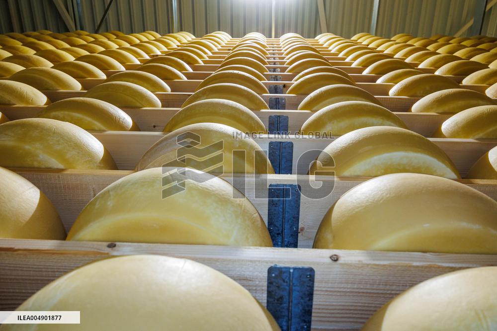 Valio Eesti's new cheese warehouse