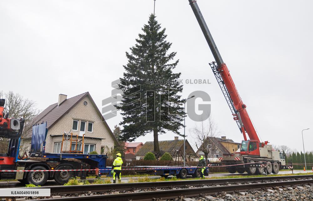Tallinn's Christmas tree