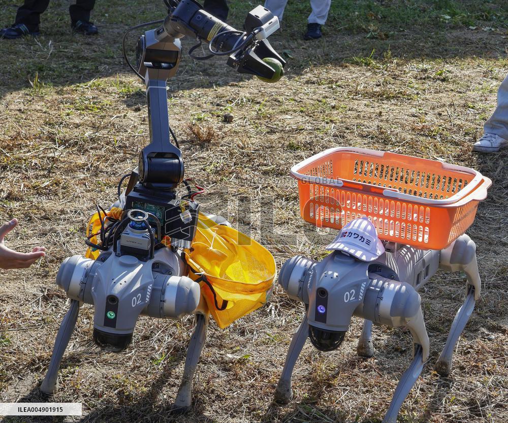 Robots for lemon harvesting