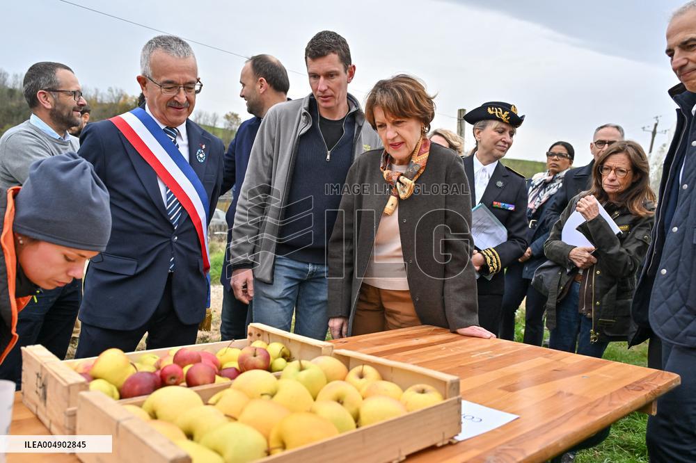 Annie Genevard Visits the Rhone Region - France