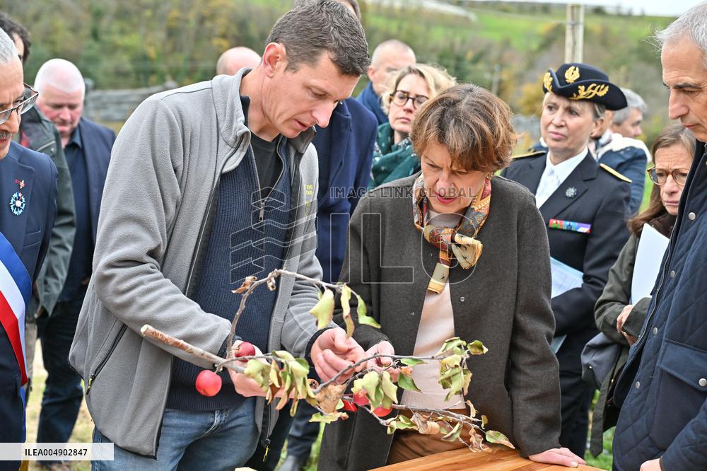 Annie Genevard Visits the Rhone Region - France