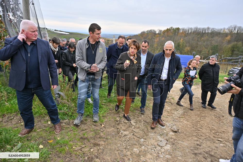 Annie Genevard Visits the Rhone Region - France