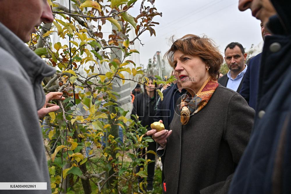 Annie Genevard Visits the Rhone Region - France