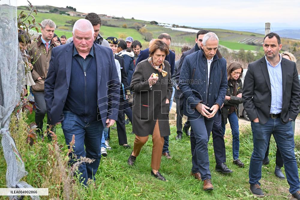 Annie Genevard Visits the Rhone Region - France