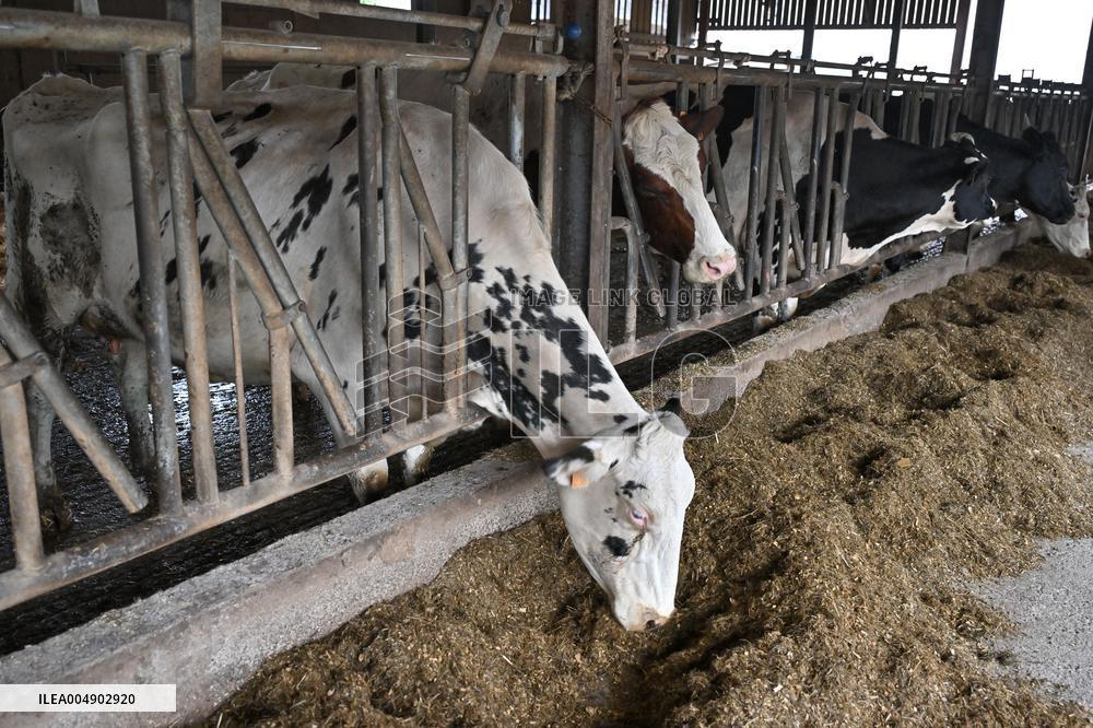 Annie Genevard Visits the Rhone Region - France