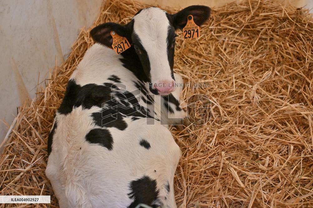 Annie Genevard Visits the Rhone Region - France