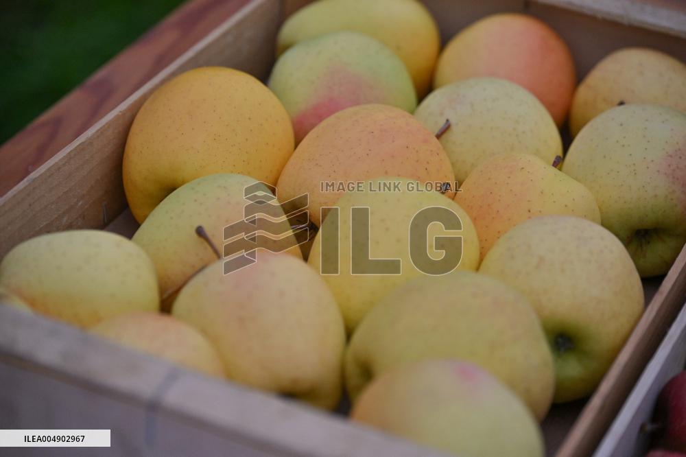 Annie Genevard Visits the Rhone Region - France