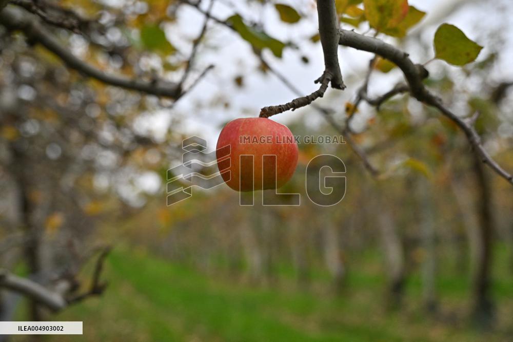 Annie Genevard Visits the Rhone Region - France