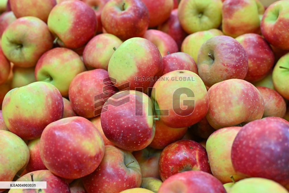 Annie Genevard Visits the Rhone Region - France