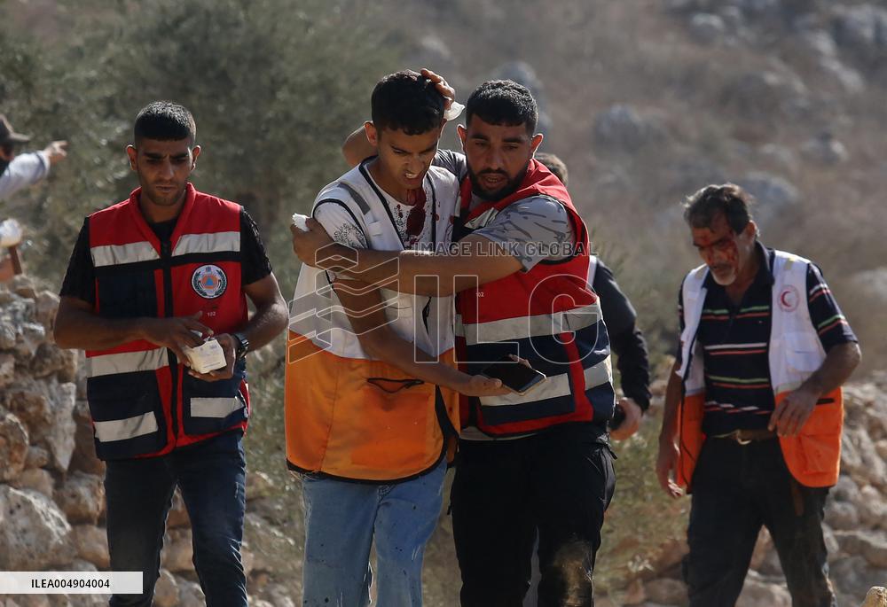 Beita Olive Harvest Season Attacks - West Bank