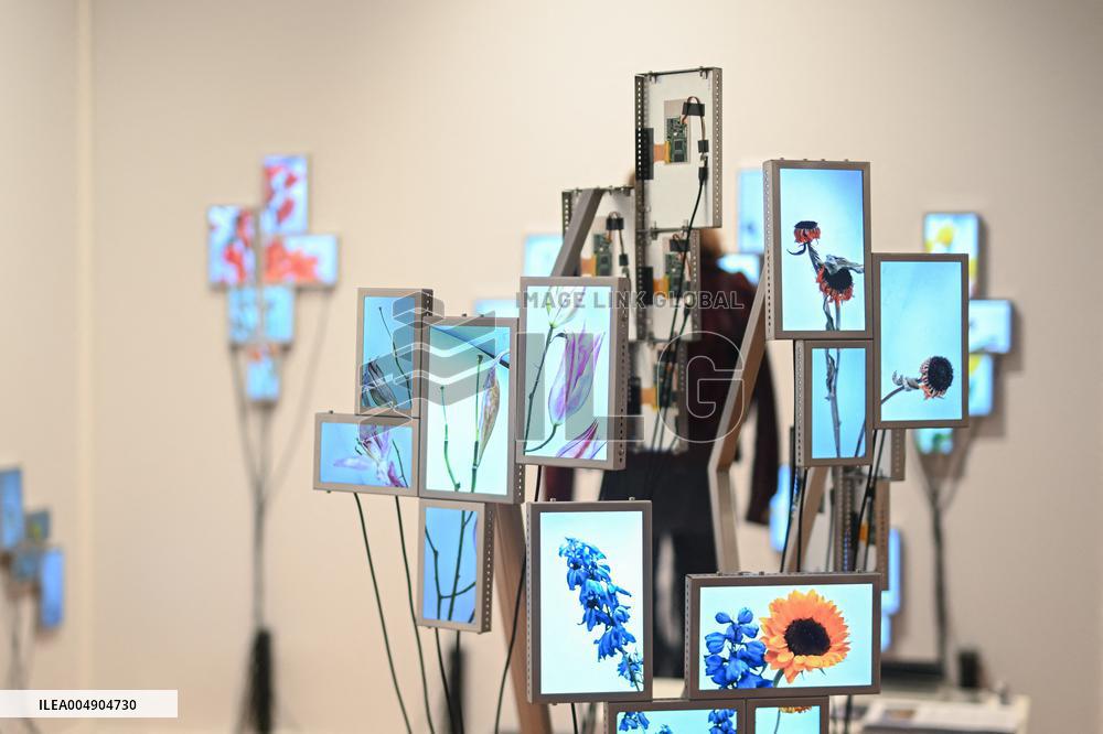 Paris Photo Fair at the Grand Palais - France