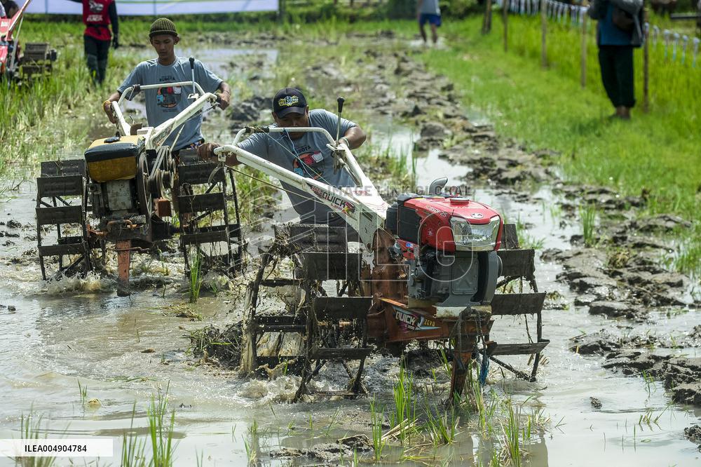 Farmers in a rice field tractors racing on a muddy rice field - Kebonagung