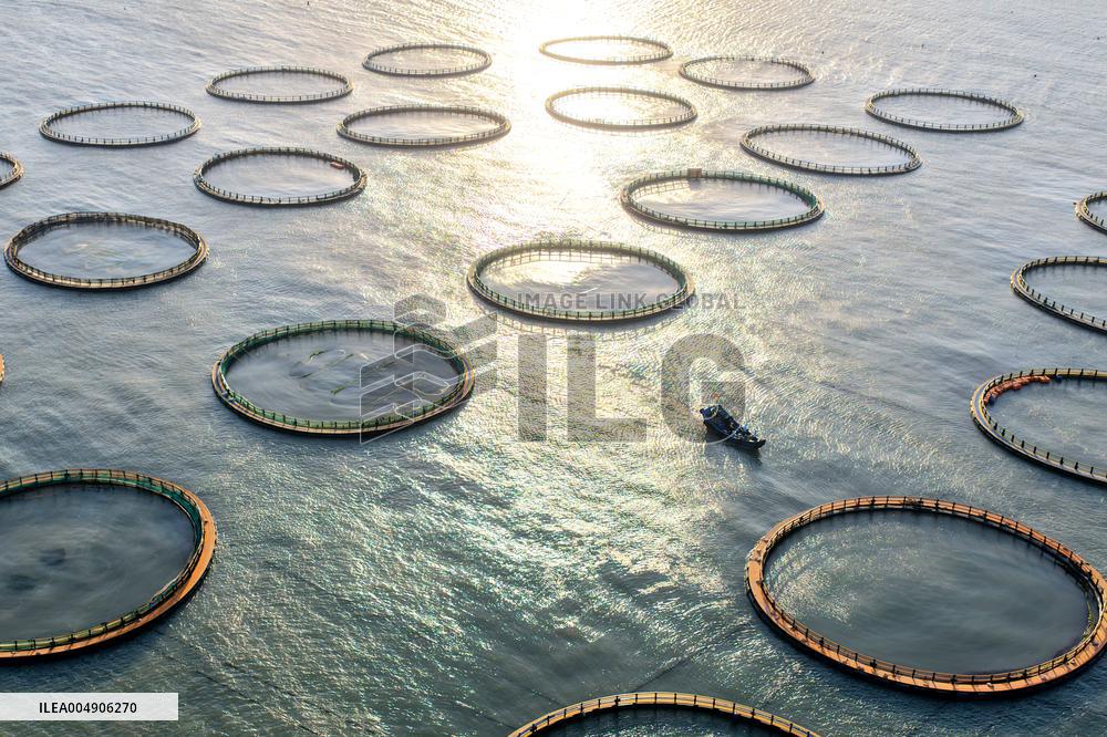 Large Yellow Croaker Aquaculture Base