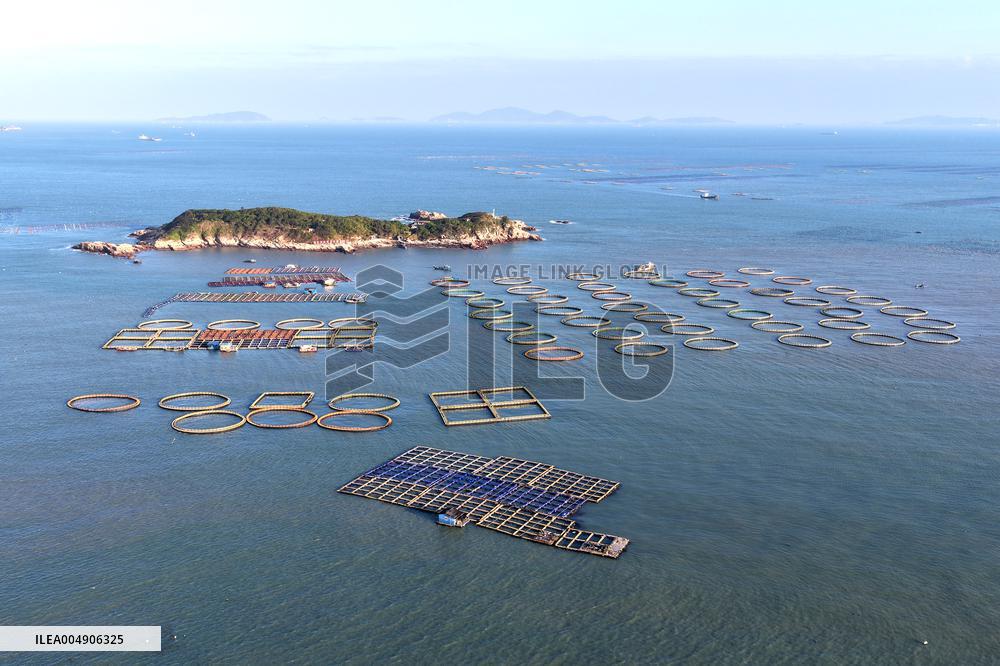 Large Yellow Croaker Aquaculture Base