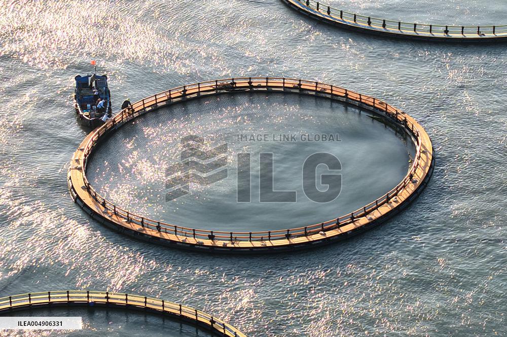 Large Yellow Croaker Aquaculture Base