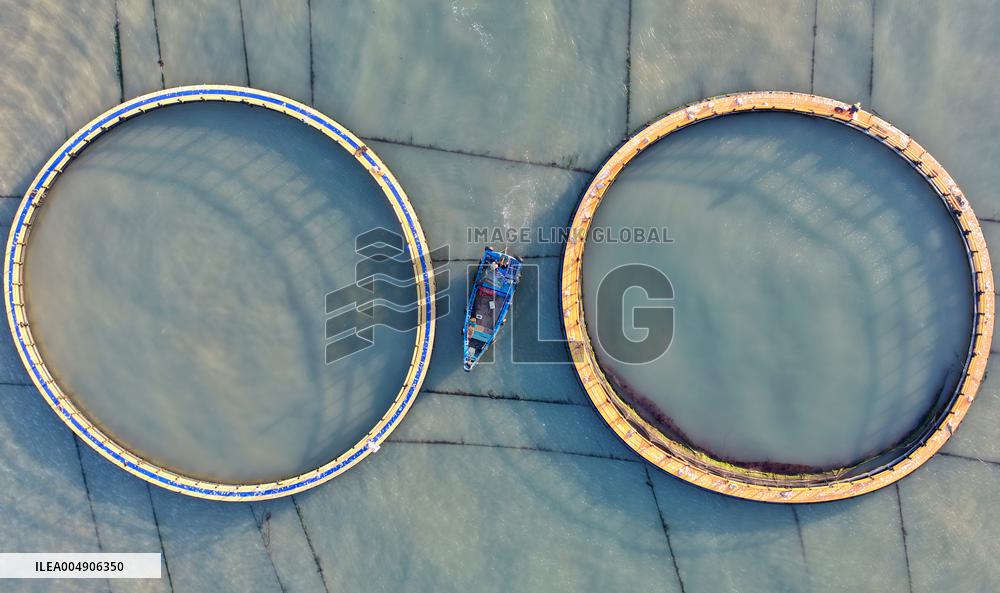 Large Yellow Croaker Aquaculture Base