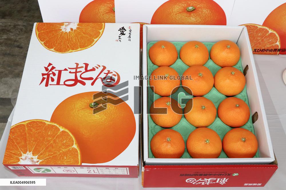 High-grade citrus from western Japan