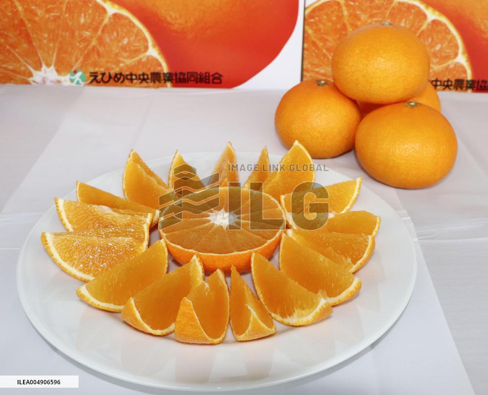 High-grade citrus from western Japan