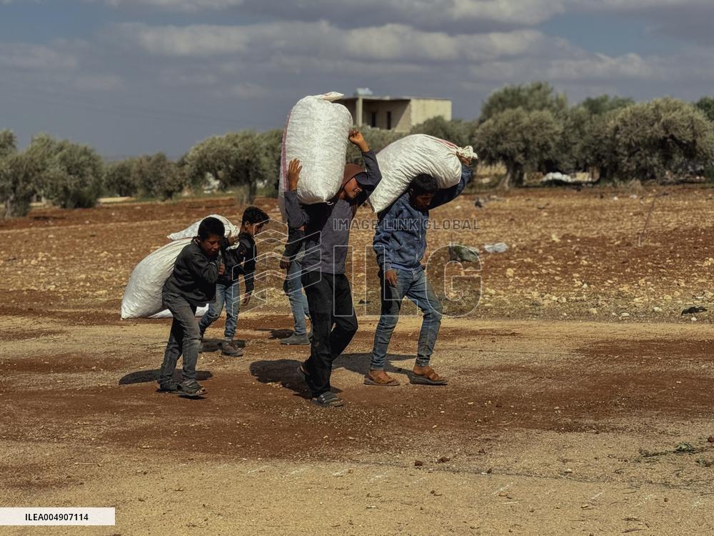 Peanut Seller Returns To Ariha - Syria