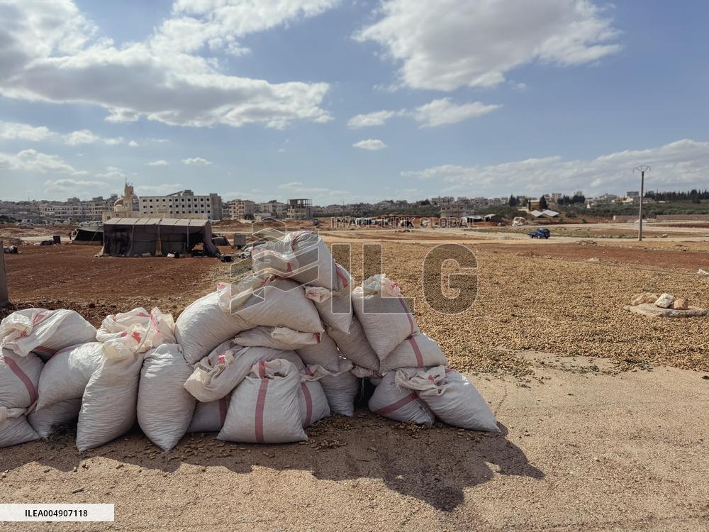 Peanut Seller Returns To Ariha - Syria