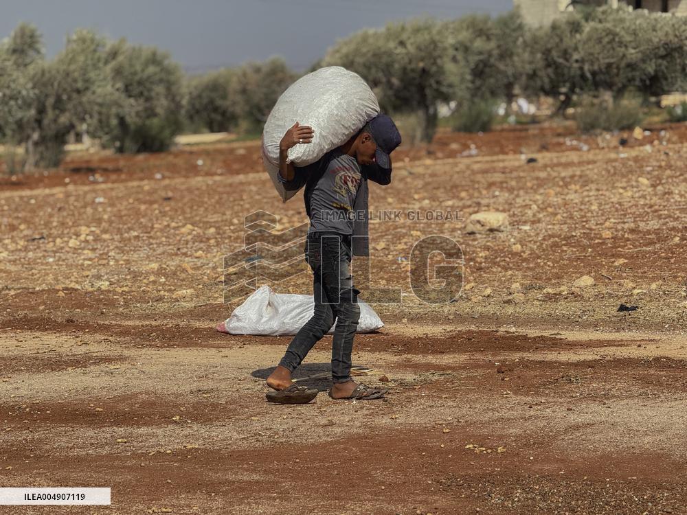 Peanut Seller Returns To Ariha - Syria
