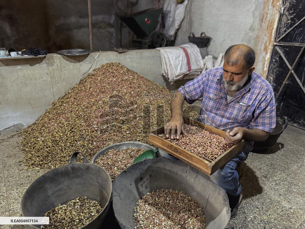 Peanut Seller Returns To Ariha - Syria