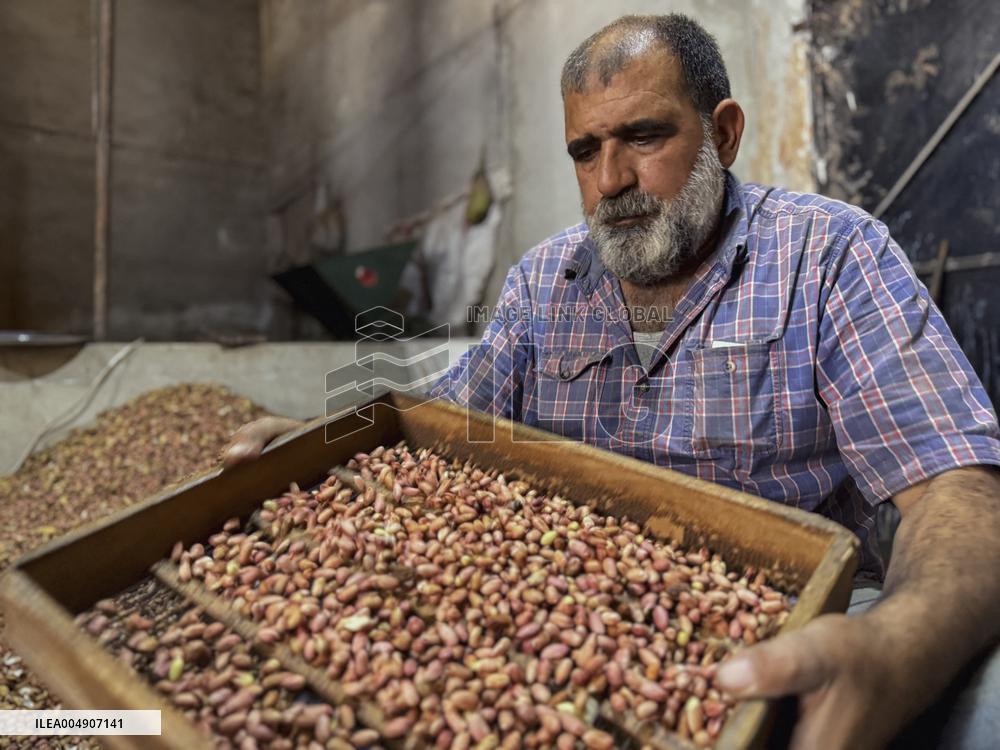 Peanut Seller Returns To Ariha - Syria