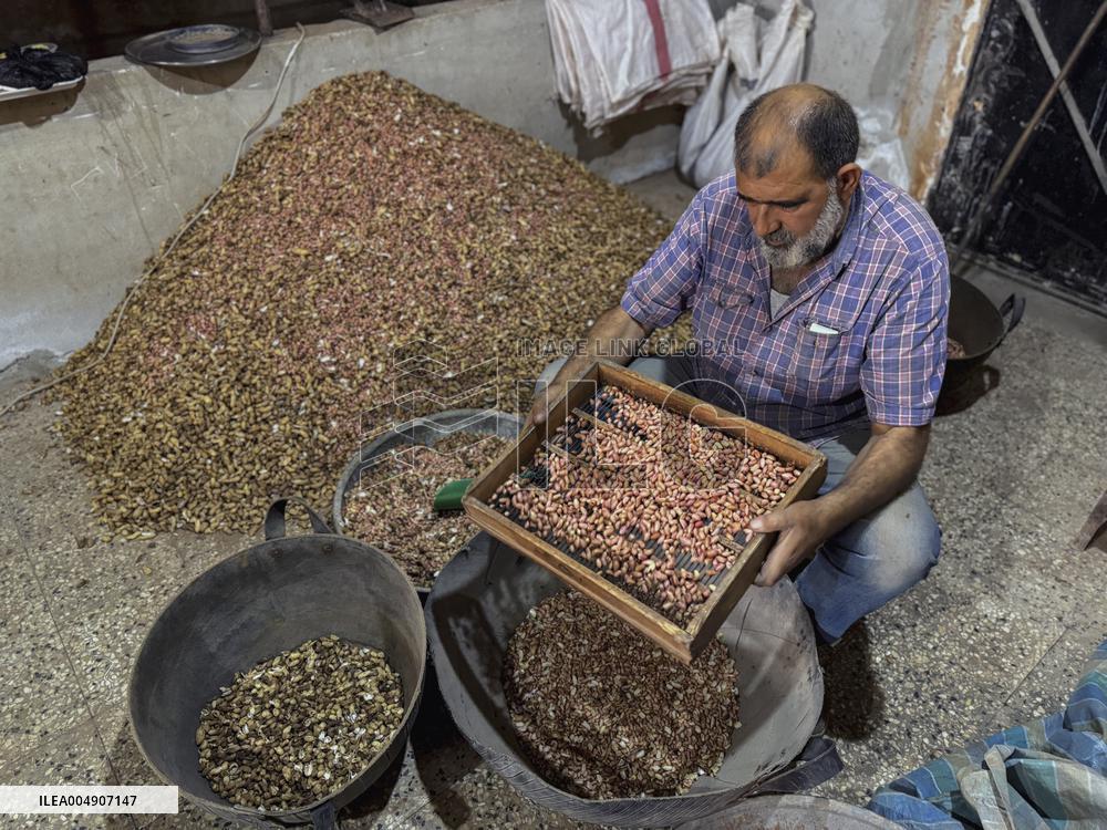 Peanut Seller Returns To Ariha - Syria