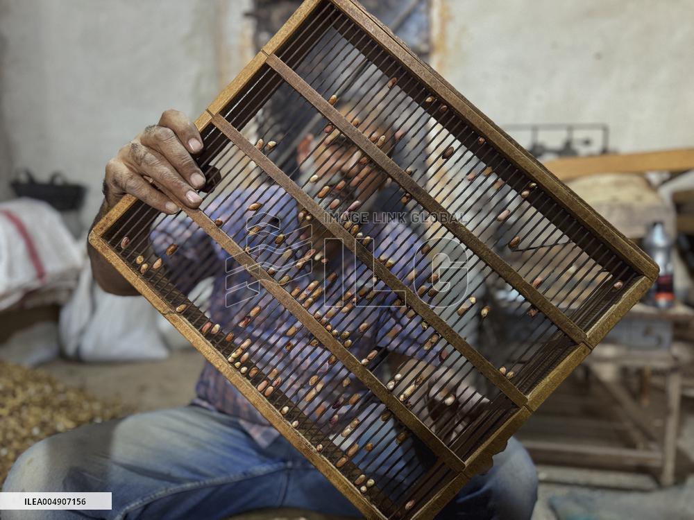 Peanut Seller Returns To Ariha - Syria