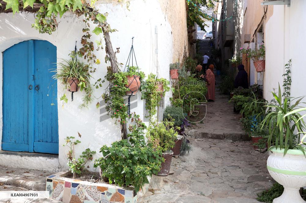 Dellys Sighting - Algeria