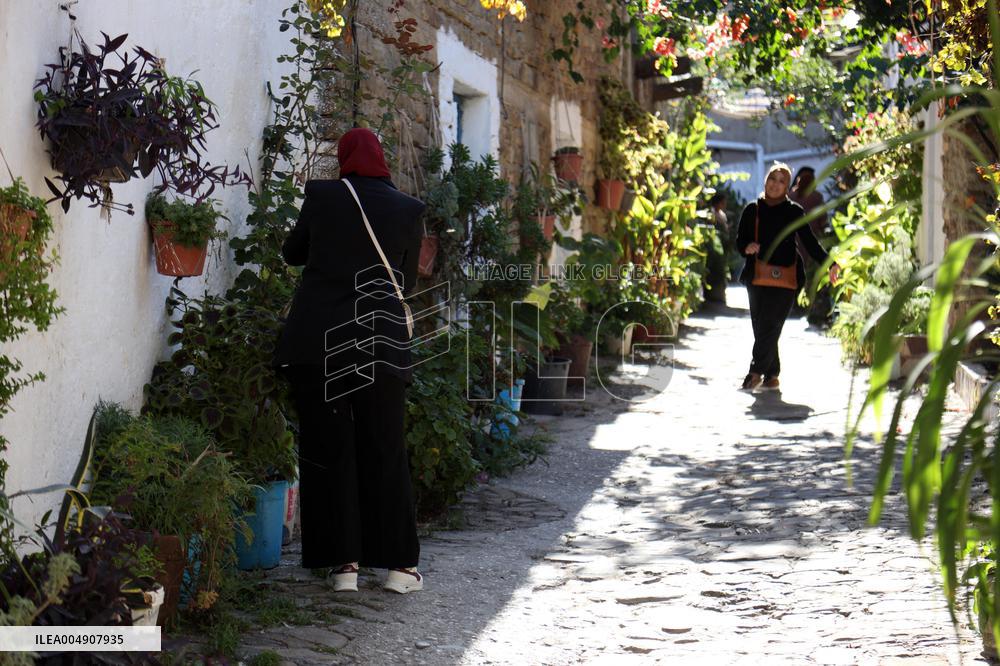 Dellys Sighting - Algeria