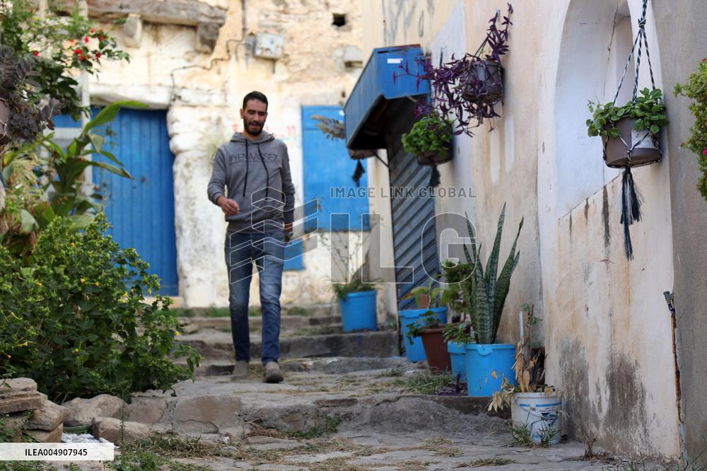 Dellys Sighting - Algeria