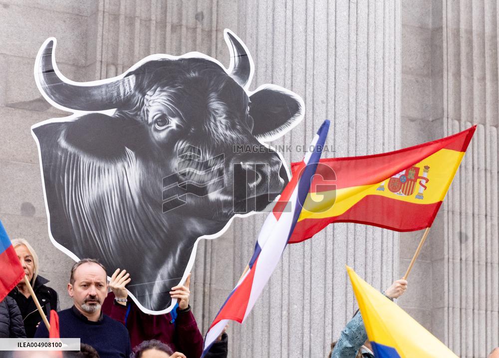 Anti-Bullfighting Protesters Rally in Front of Congress - Madrid