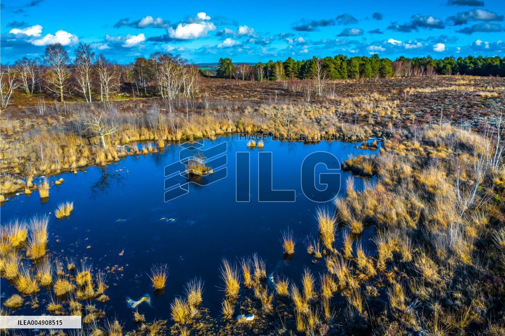 Illustration - Fontainebleau