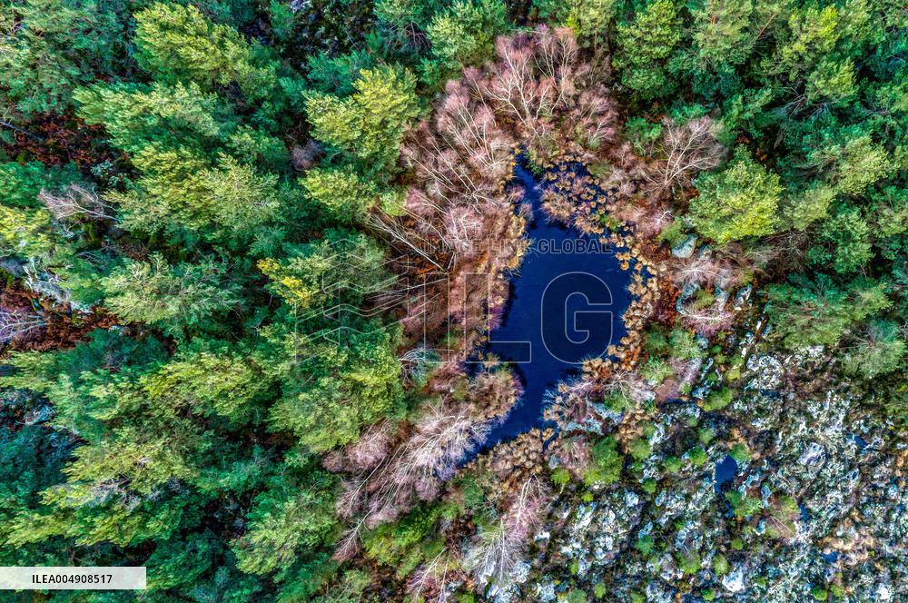 Illustration - Fontainebleau